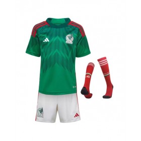 Youth Mexico Jersey Whole Kit 2022 Home World Cup