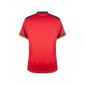 Cameroon Jersey 2022 Third World Cup