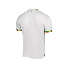 Senegal Jersey 2022 Authentic Home World Cup