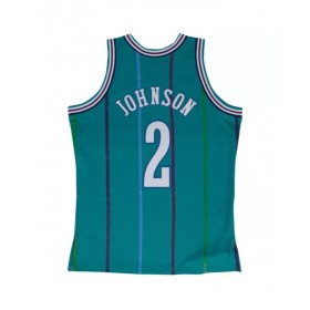 Men's Charlotte Hornets Larry Johnson #2 Mitchell & Ness Teal Hardwood Classics 1992-93 Swingman Jersey