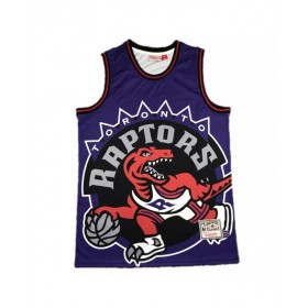 Men's Toronto Raptors Vince Carter #15 Mitchell & Ness Purple Hardwood Classics Jersey