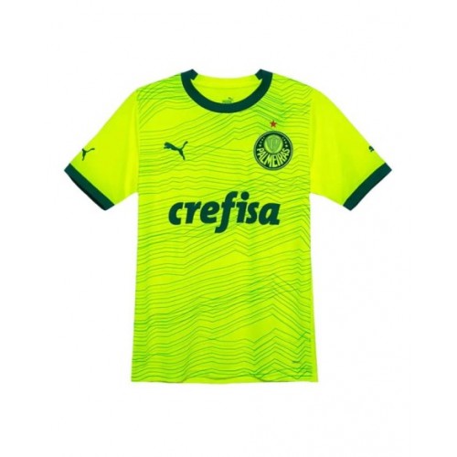 Palmeiras Jersey 2022/23 Away