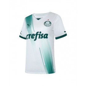 Palmeiras Jersey 2023/24 Away