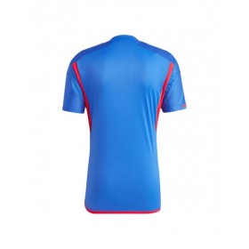 Olympique Lyonnais Jersey 2023/24 Away