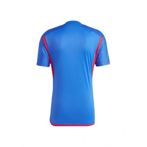 Olympique Lyonnais Jersey 2023/24 Away