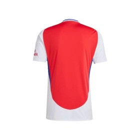 Arsenal Jersey 2024/25 Home