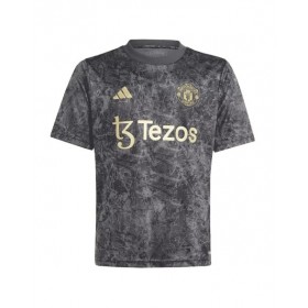 Manchester United Jersey 2023/24 Pre-Match grey