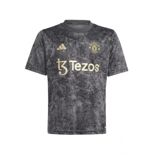 Manchester United Jersey 2023/24 Pre-Match grey