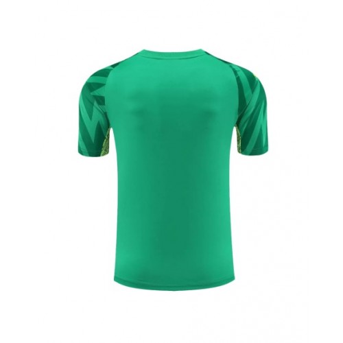 Manchester City Goalkeeper Jersey 2023/24 Green