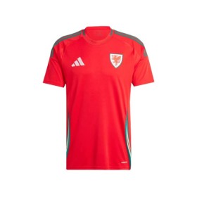 Wales Home Jersey EURO 2024