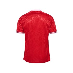 Denmark Home Jersey EURO 2024