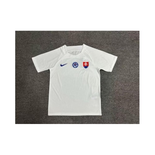 Slovakia Jersey 2024 Away