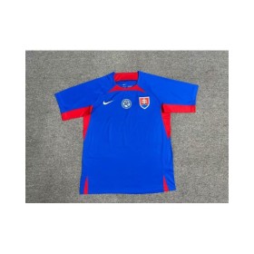 Slovakia Jersey 2024 Home