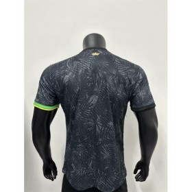 Brazil Jersey 2023 Authentic -Special