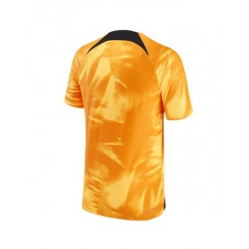 Netherlands Jersey 2022 Authentic Home World Cup