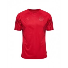 Denmark Jersey 2022 Home World Cup