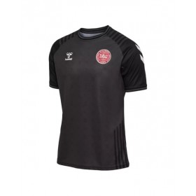 Denmark Jersey 2022 Hummel x BLS